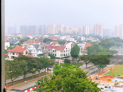 buangkok-green photo thumbnail #3